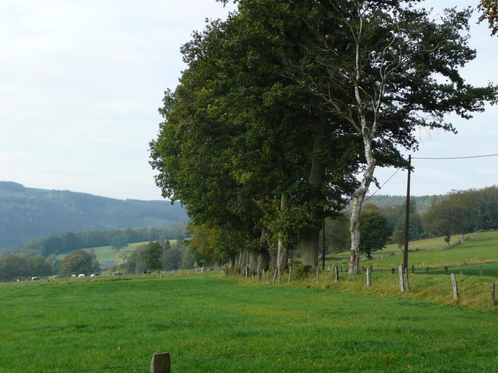 Le Fournil Gite Rural トロワ・ポン エクステリア 写真